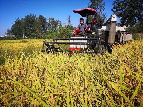 亚洲国产自怕,崛起中的民族汽车力量